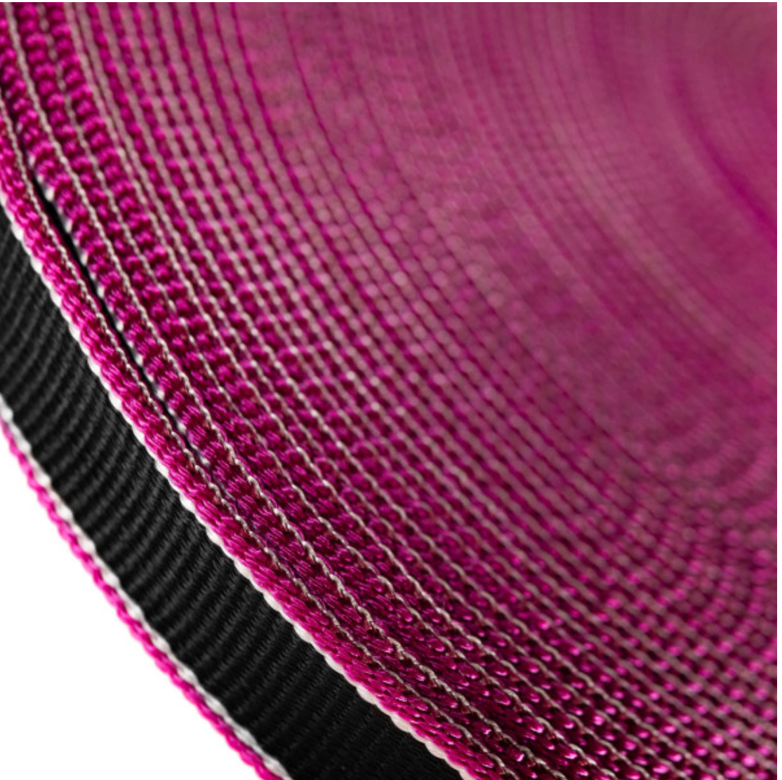 PINK PANTHER WEBBING