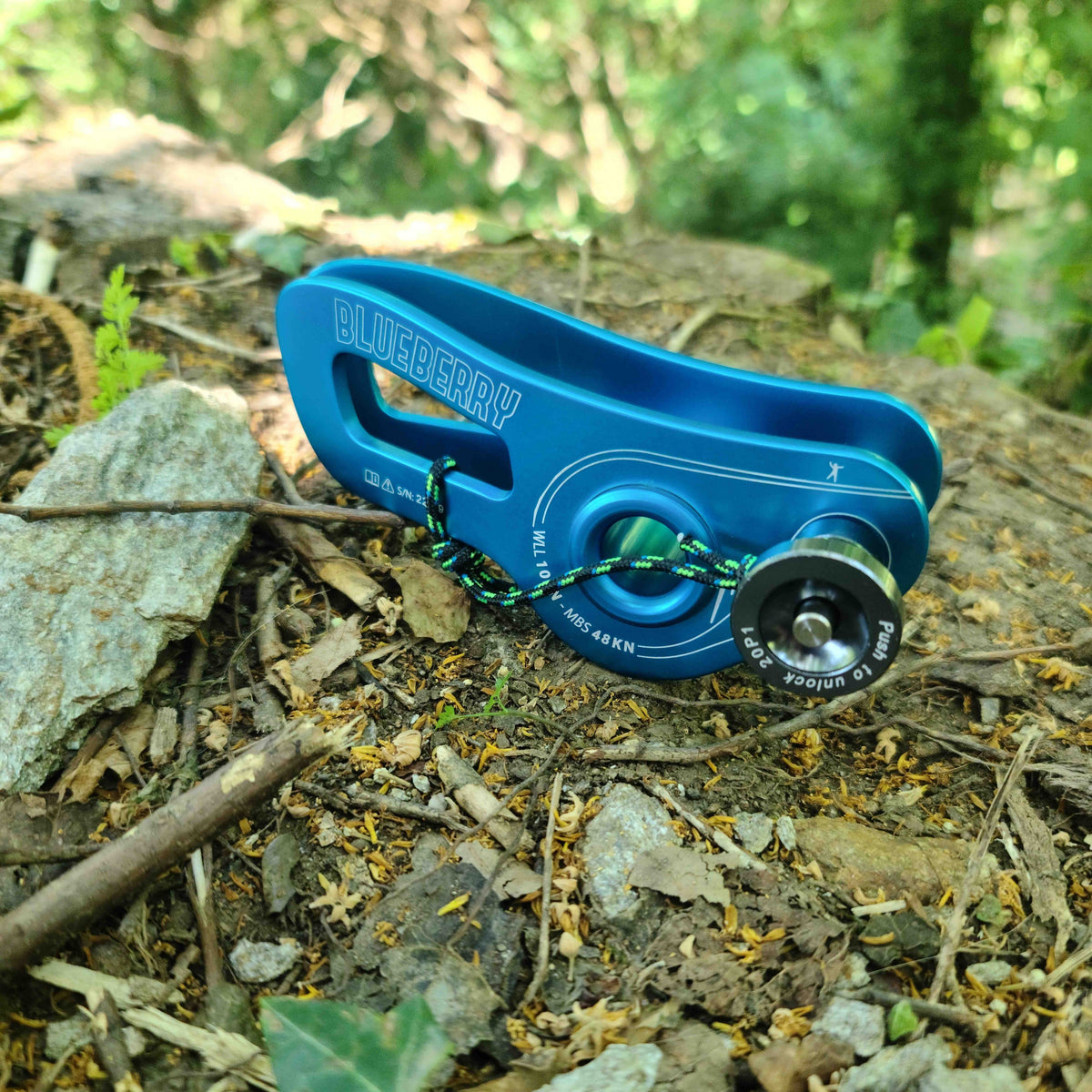 BLUEBERRY WEBLOCK
