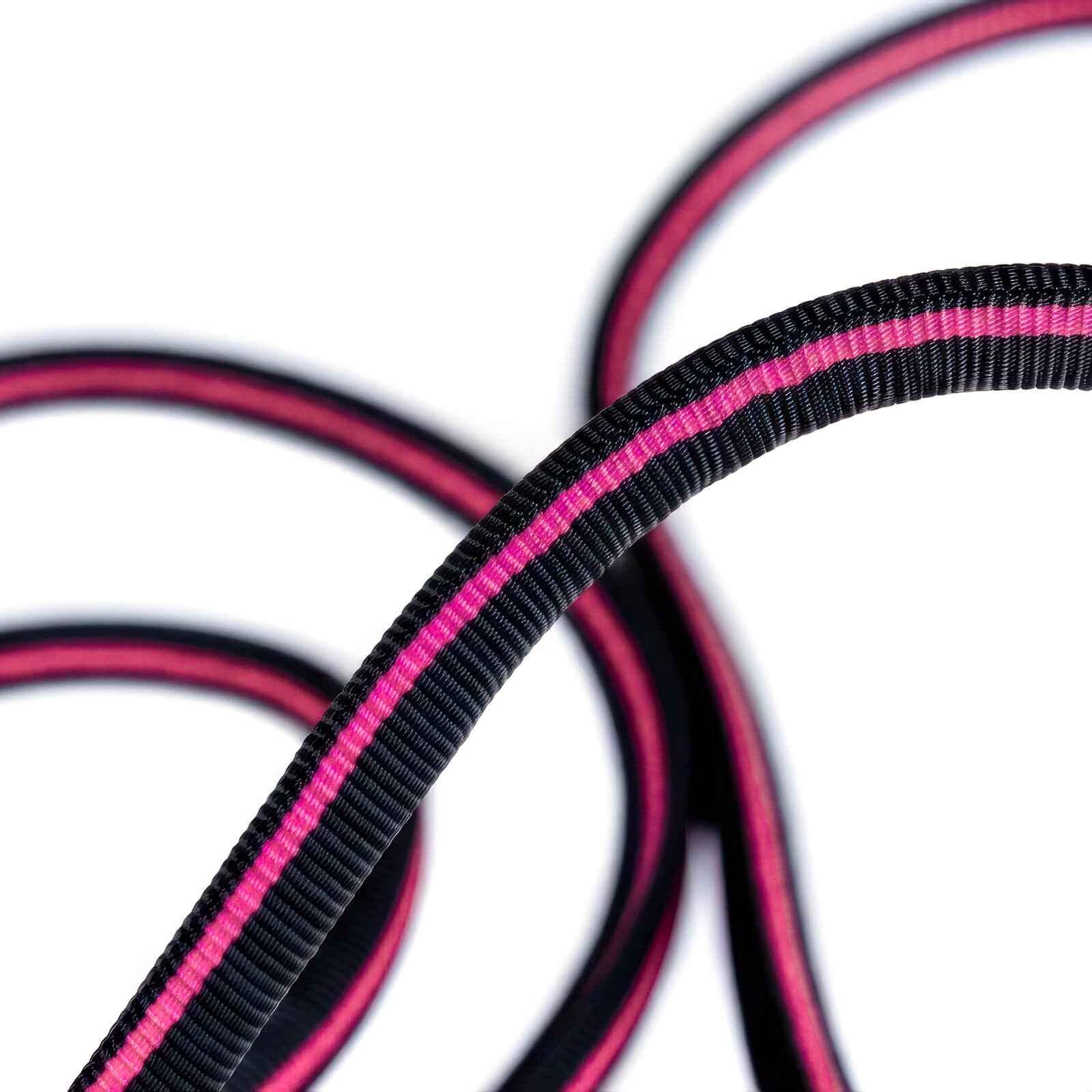Detalle del tejido del leash negro con línea magenta