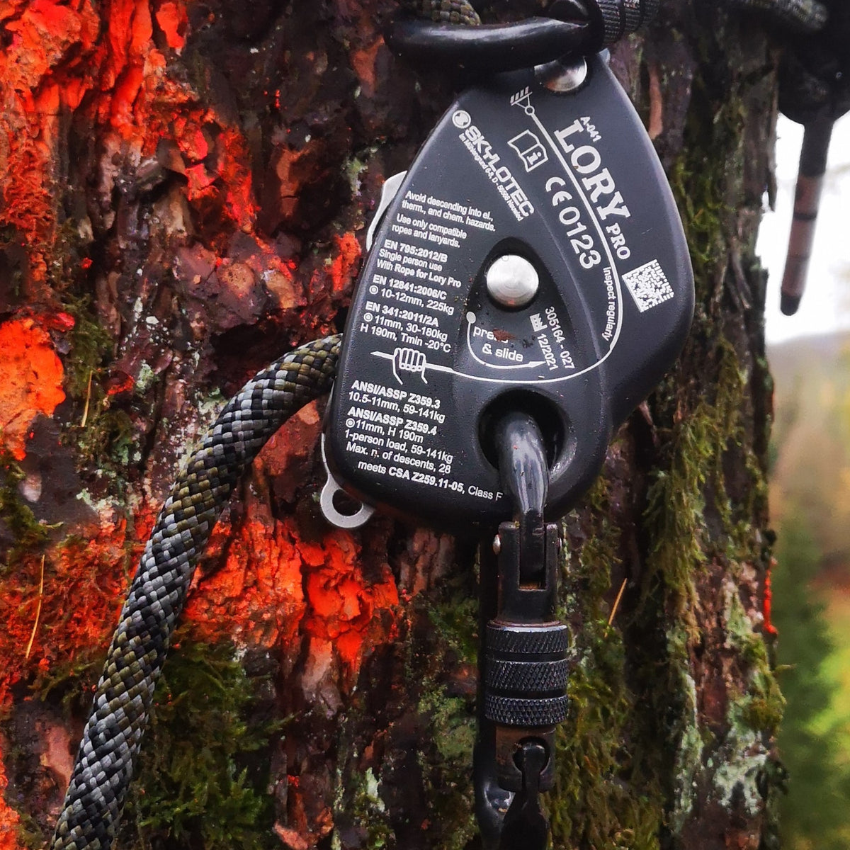 LORY PRO Skylotec en un árbol con cuerda